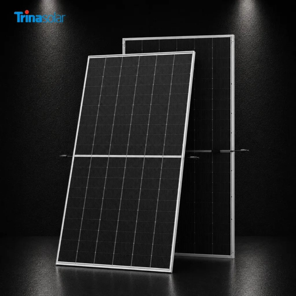 Сонячна панель Trina Solar TSM-NEG19RC.20 620 Wp Bifacial N-Type